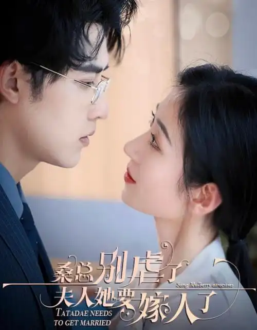 医者仁心线全集手机免费在线观看
